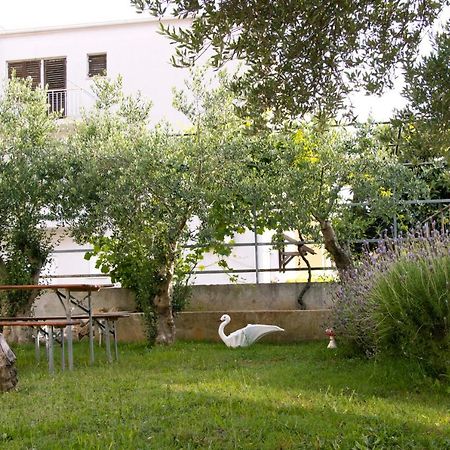 Pepi Apartments 1 Задар Экстерьер фото